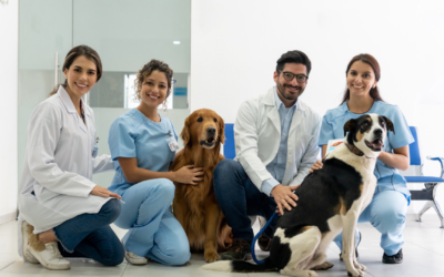 Are Dentists, Veterinarians, or Pharmacists Eligible for Physician Loans?